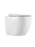 Bathroom Toilet Suites Back to Wall Floor Pan Rimless Dual Flush System